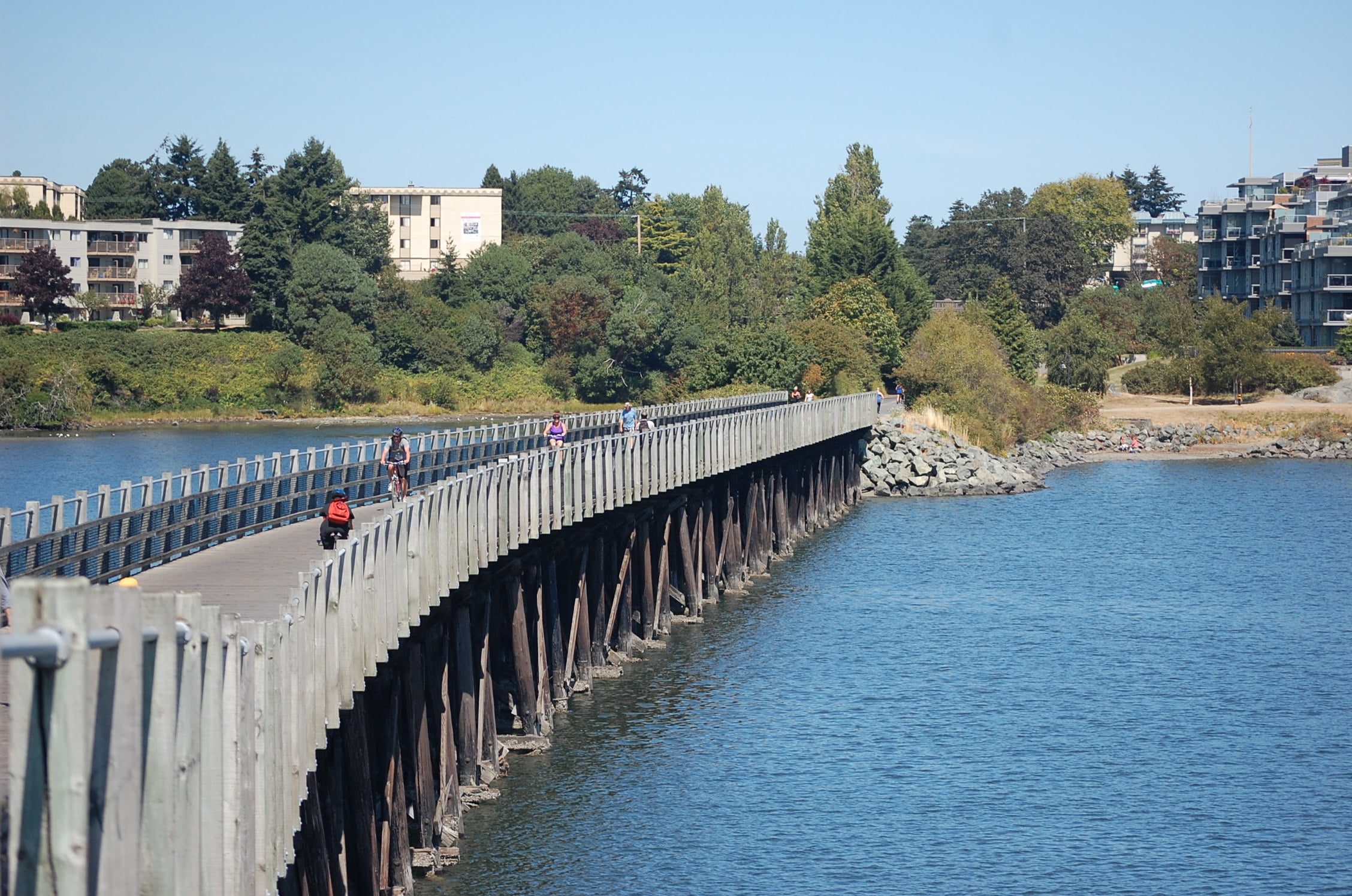 Waterway Cleanup islandparent